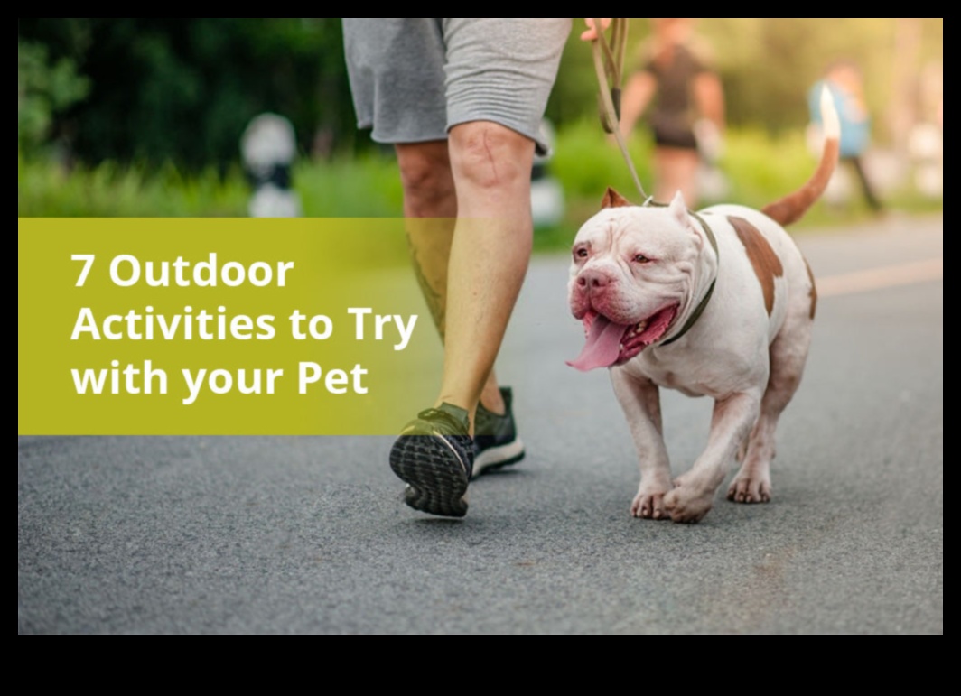 Outdoor Adventures: Exploring Safe Outdoor Activities with Pets