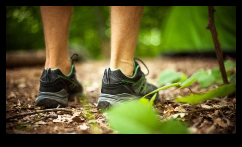 Outdoor Serenity: The Mental Health Benefits of Exercising in Nature