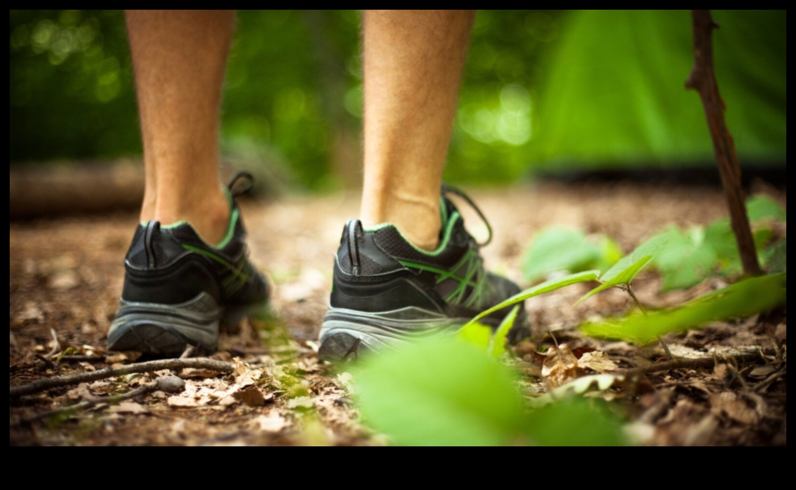 Outdoor Serenity: Nature's Contribution to Mental Health During Exercise