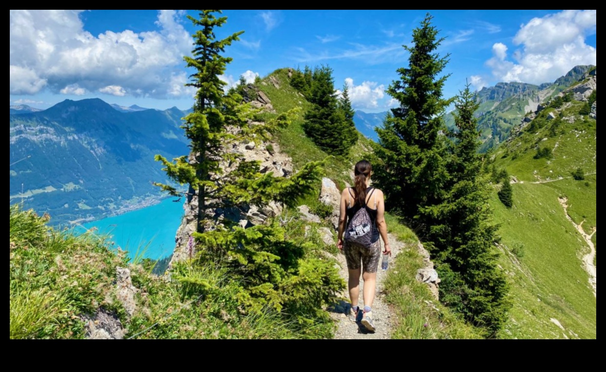 Panoramic Pursuits: The Ultimate Sightseeing Itinerary