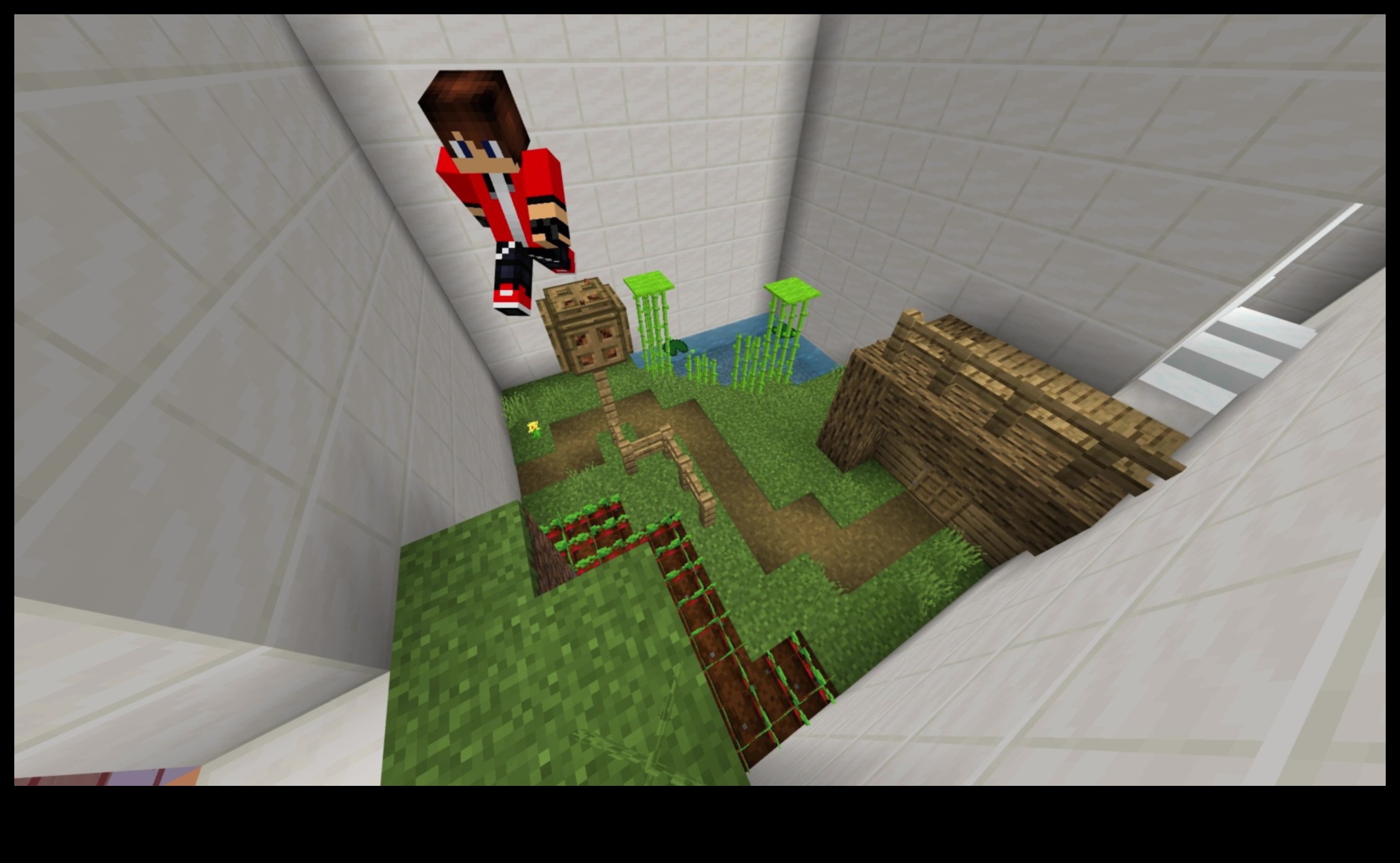 Parkour Paradise: Outdoor Exercises for Urban Adventure