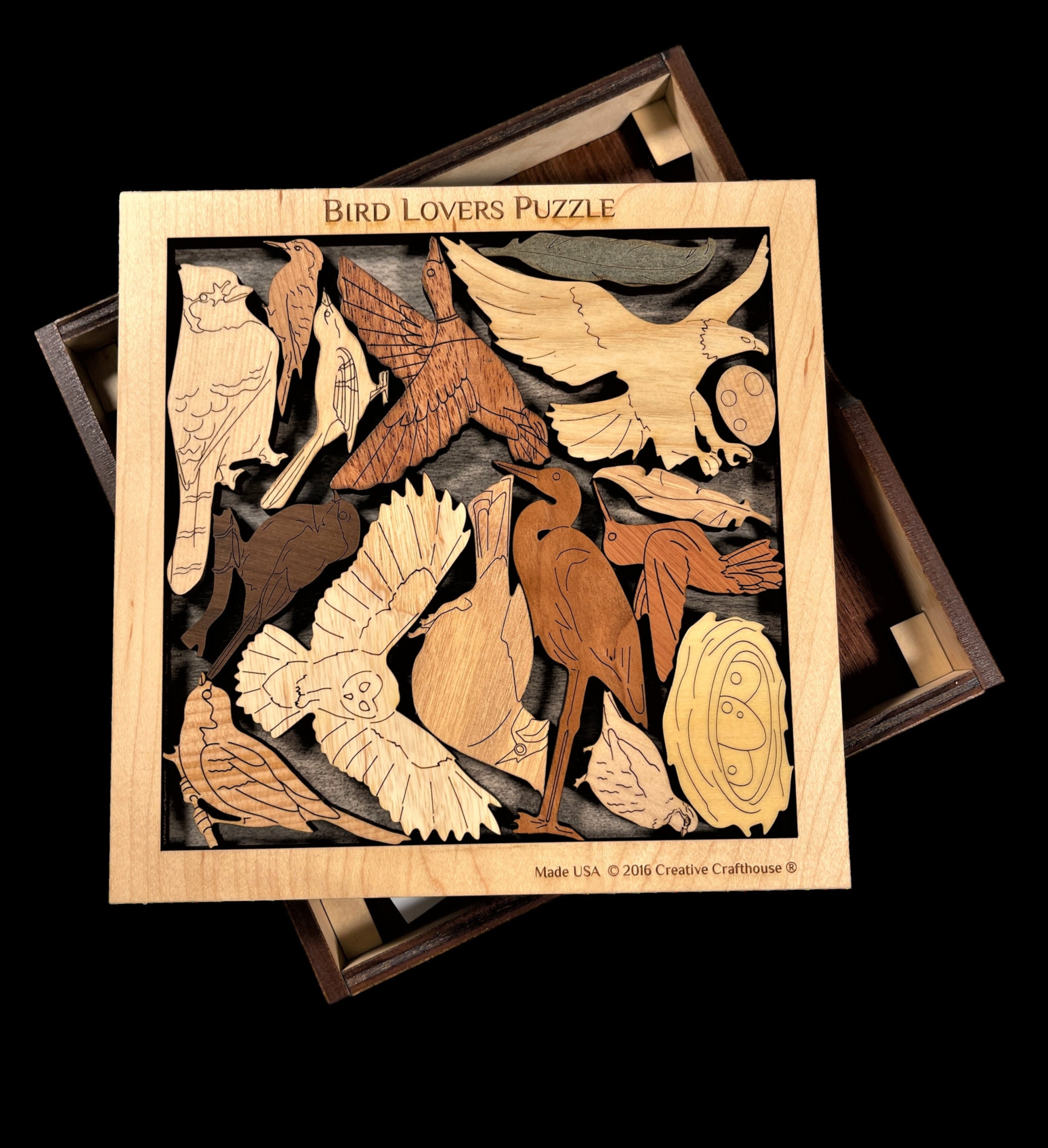 Parrot Party Puzzles Brain Teasers for Clever Birds 5 Parrot Party Puzzles: Brain Teasers for Clever Birds