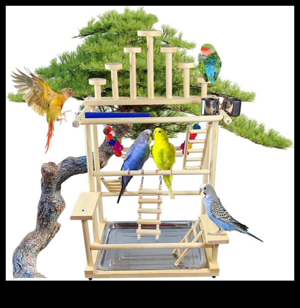 Parrot Play Palace Building an Enriching Play Area for Birds 1
