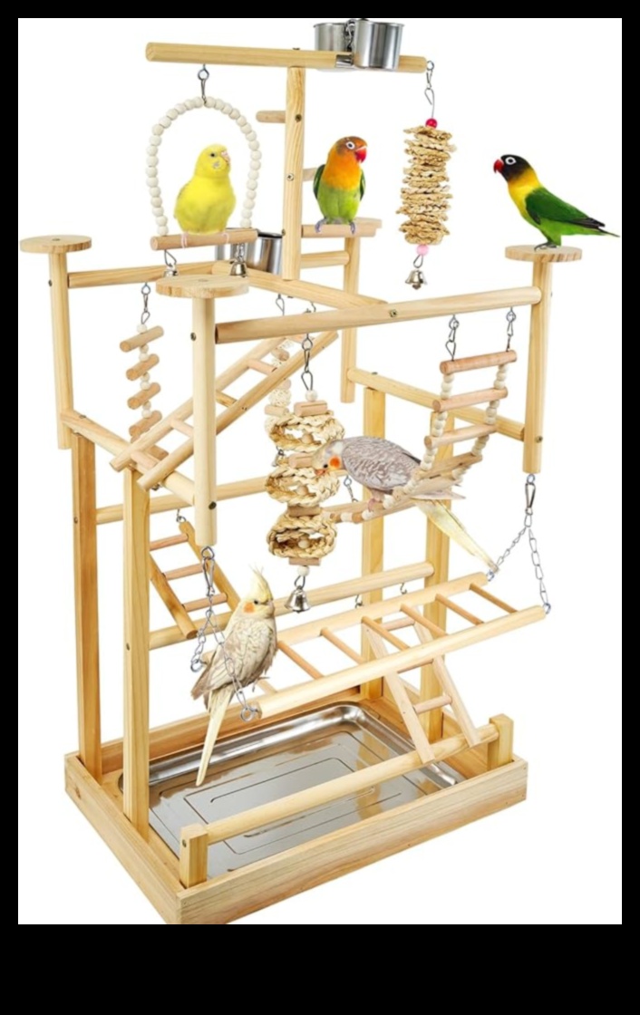 Parrot Play Palace Building an Enriching Play Area for Birds 2 Parrot Play Palace: Building an Enriching Play Area for Birds