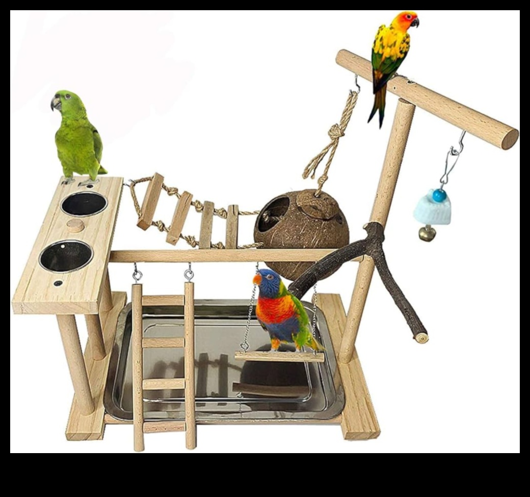 Parrot Play Palace Building an Enriching Play Area for Birds 3 Parrot Play Palace: Building an Enriching Play Area for Birds
