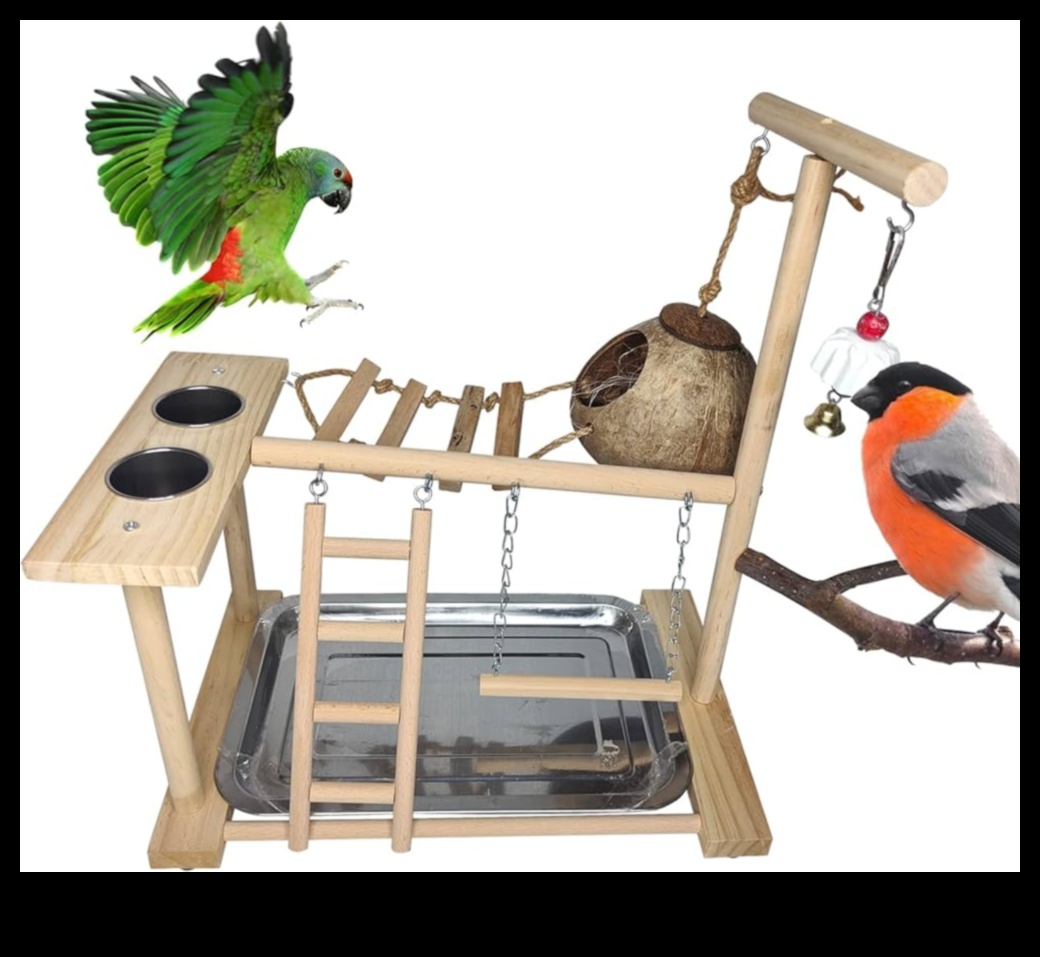 Parrot Play Palace Building an Enriching Play Area for Birds 4 Parrot Play Palace: Building an Enriching Play Area for Birds