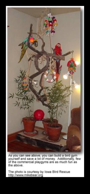 Parrot Play Palace Building an Enriching Play Area for Birds 5 Parrot Play Palace: Building an Enriching Play Area for Birds