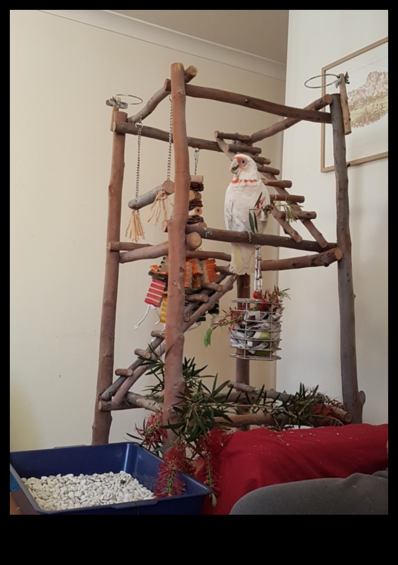 Parrot Play Palace Continued: DIY Additions for Enrichment