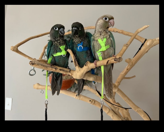 Parrot Playdates Nurturing Social Interaction for Pet Birds 1