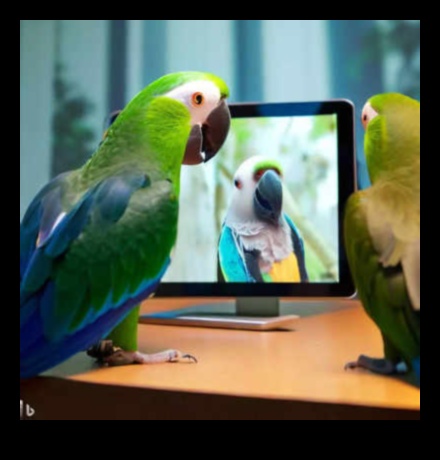 Parrot Playdates Nurturing Social Interaction for Pet Birds 5 Parrot Playdates: Nurturing Social Interaction for Pet Birds
