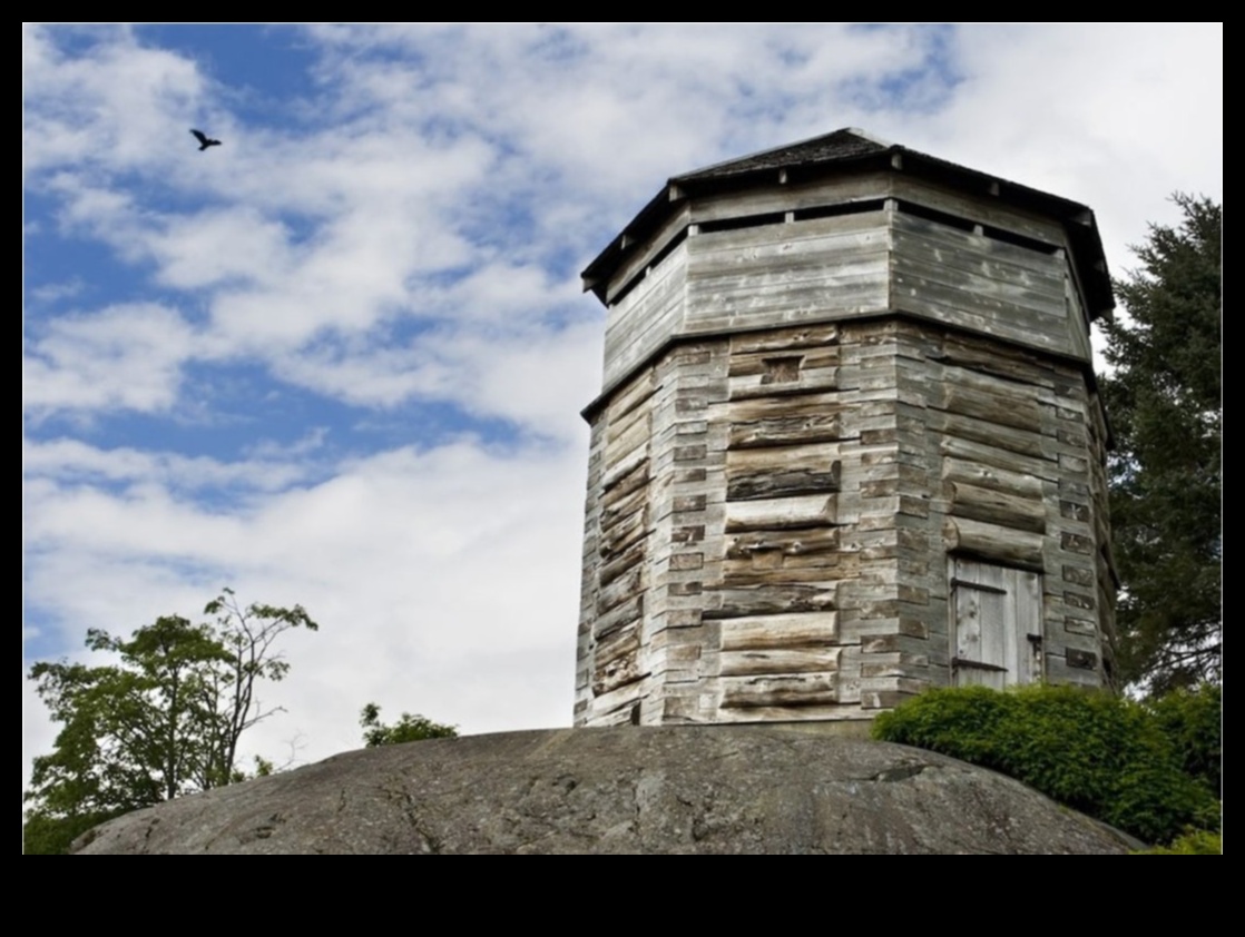 Pavement Pioneers: Crafting Your Walking Tour Excursion