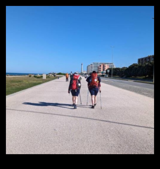 Pavement Pioneers: Crafting Your Walking Tour Excursion