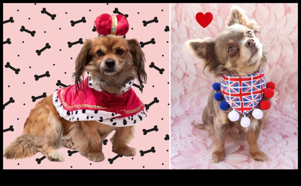 Paw-fectly Elegant How to Dress Your Pet for Any Occasion 1