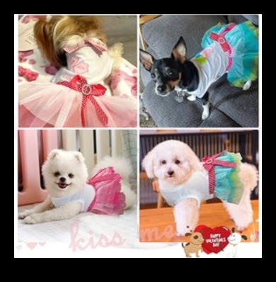 Paw-fectly Elegant How to Dress Your Pet for Any Occasion 3 Paw-fectly Elegant: Accessorizing Your Pet for Any Occasion