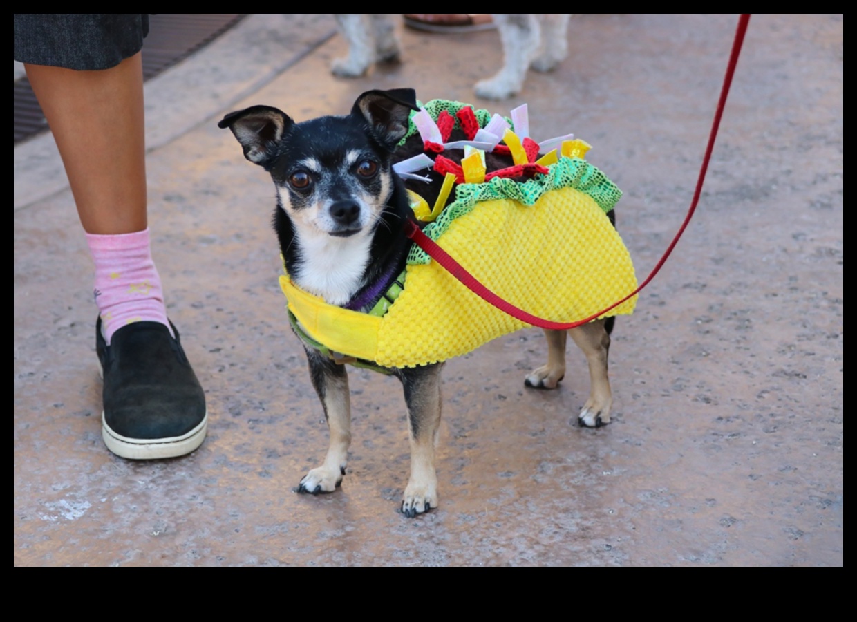 Paw-fectly Elegant How to Dress Your Pet for Any Occasion 4 Paw-fectly Elegant: Accessorizing Your Pet for Any Occasion