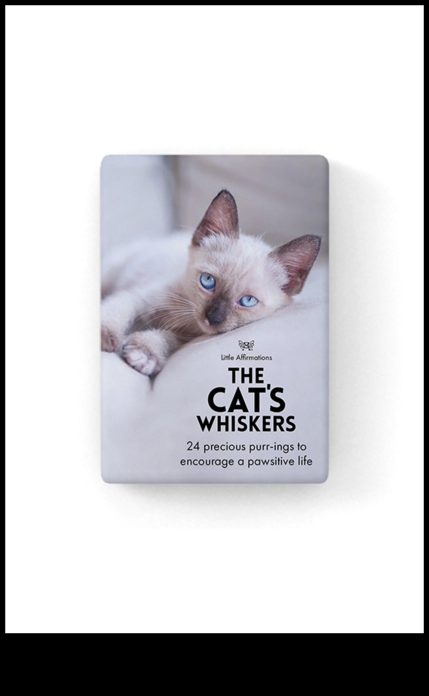 Paw-sitive Affirmations Creating a Positive Environment for Your Cat 3 Paw-sitive Affirmations: Creating a Positive Environment for Your Cat