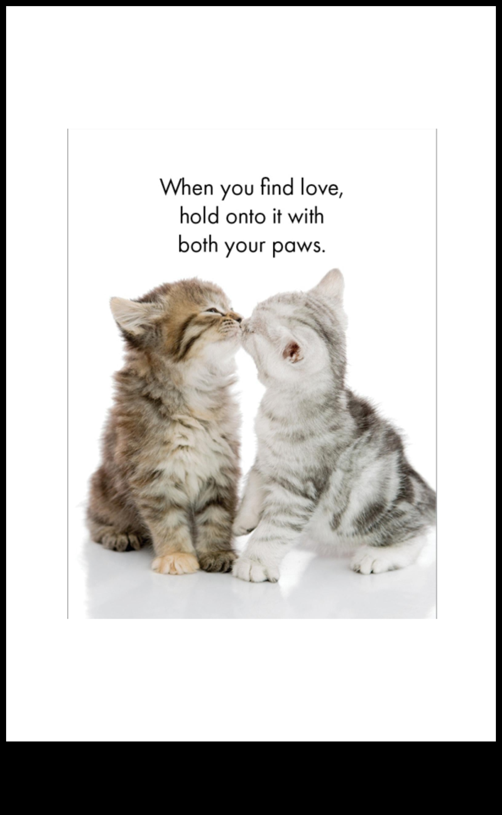 Paw-sitive Affirmations Creating a Positive Environment for Your Cat 5 Paw-sitive Affirmations: Creating a Positive Environment for Your Cat