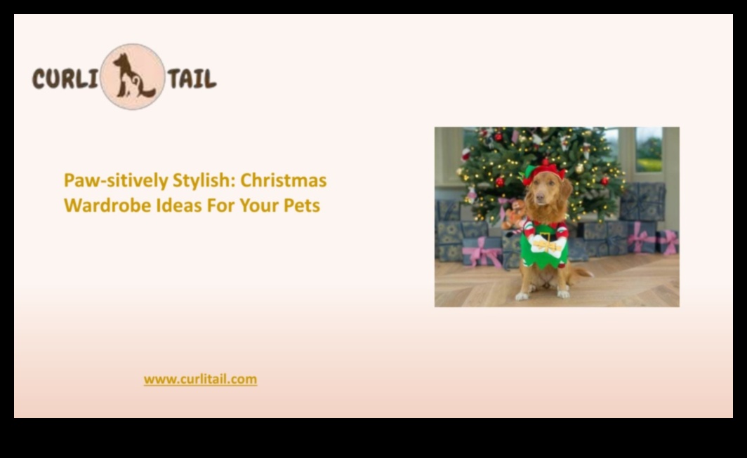 Paw-sitively Chic 5 Must-Have Accessories to Spruce Up Your Pet's Look 4 Paw-sitively Chic: Accessories to Spruce Up Your Pet's Look