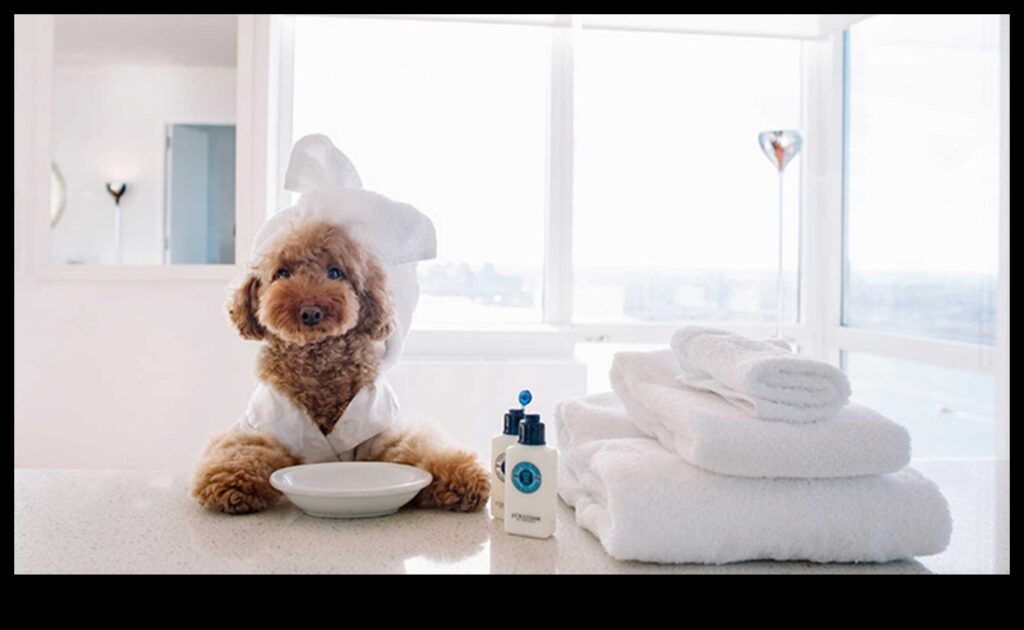 Paw-sitively Dazzling Continued Keep Your Pet Sparkling with Chic Accessories 1