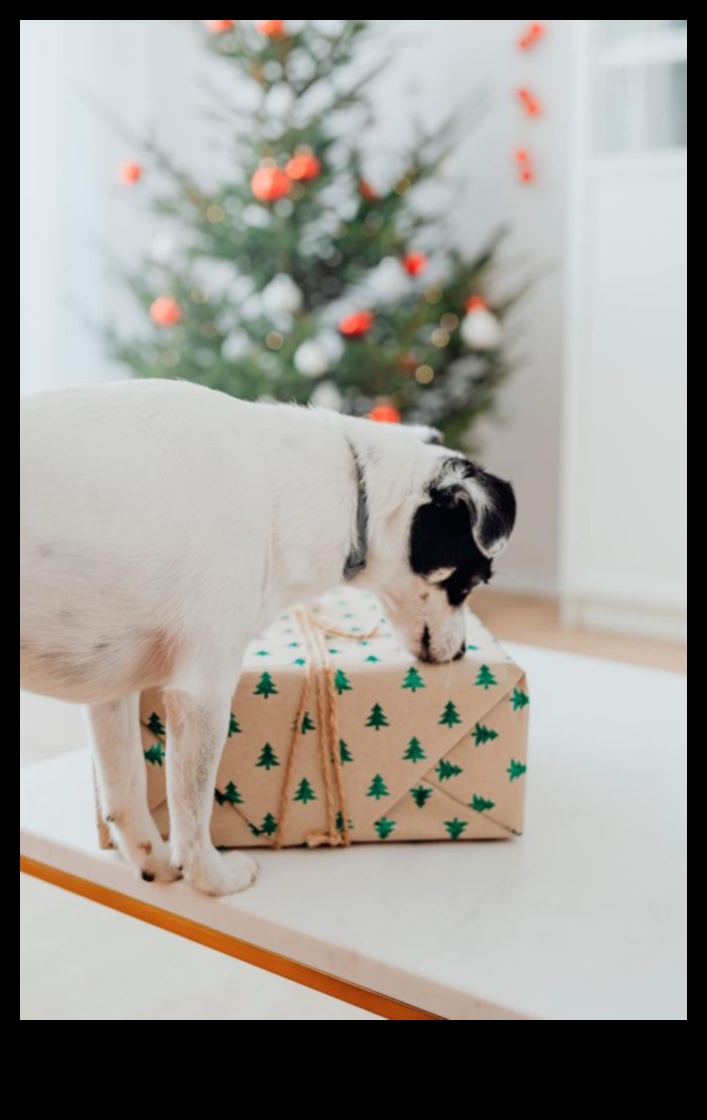 Paw-sitively Dazzling Continued Keep Your Pet Sparkling with Chic Accessories 3 Paw-sitively Dazzling Continued: Keeping Your Pet Sparkling with Accessories