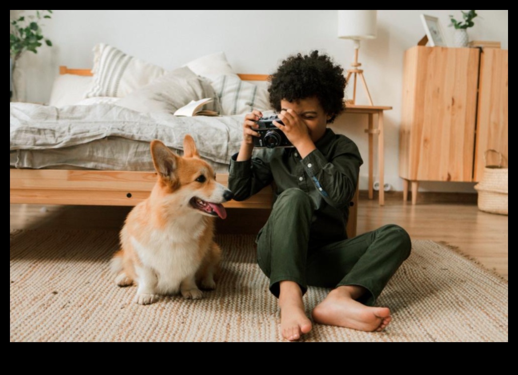 Paw-sitively Dazzling Delights A Guide to Keeping Your Pet Sparkling and Stylish 1 Paw-sitively Dazzling Delights: Keeping Your Pet Sparkling and Stylish