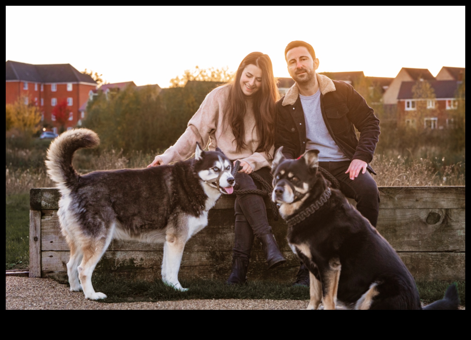 Paw-sitively Dazzling Delights A Guide to Keeping Your Pet Sparkling and Stylish 2 Paw-sitively Dazzling Delights: Keeping Your Pet Sparkling and Stylish