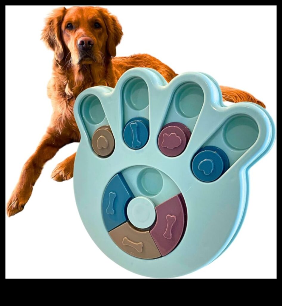 Paw-some Puzzles Mental Stimulation for Dogs and Cats 1