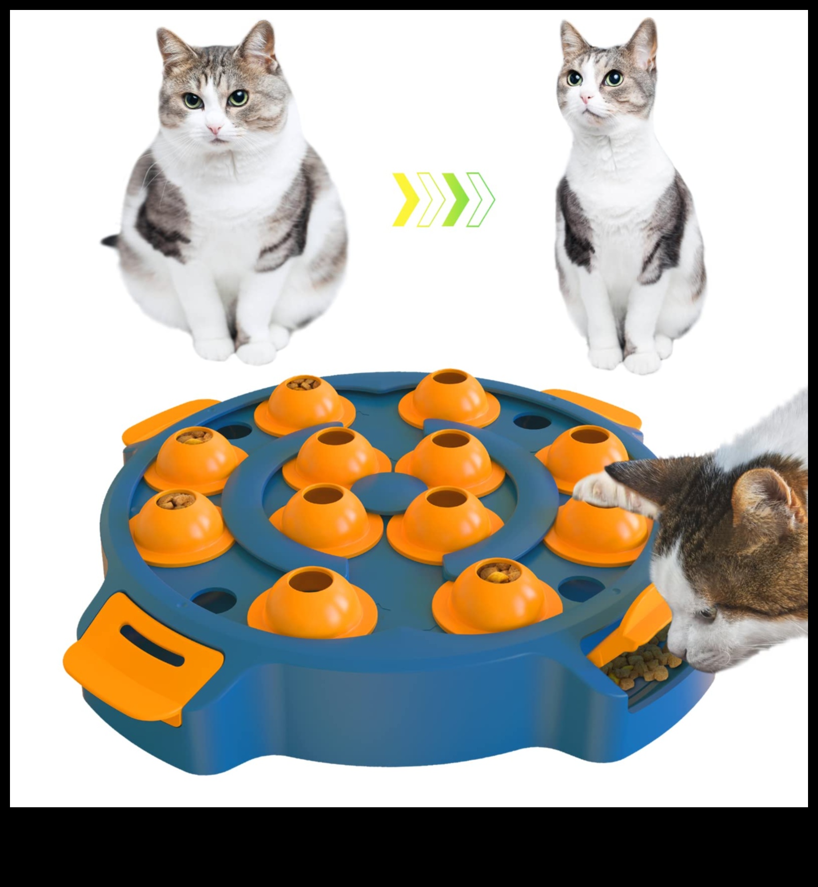 Paw-some Puzzles Mental Stimulation for Dogs and Cats 2 Paw-some Puzzles: Mental Stimulation for Dogs and Cats