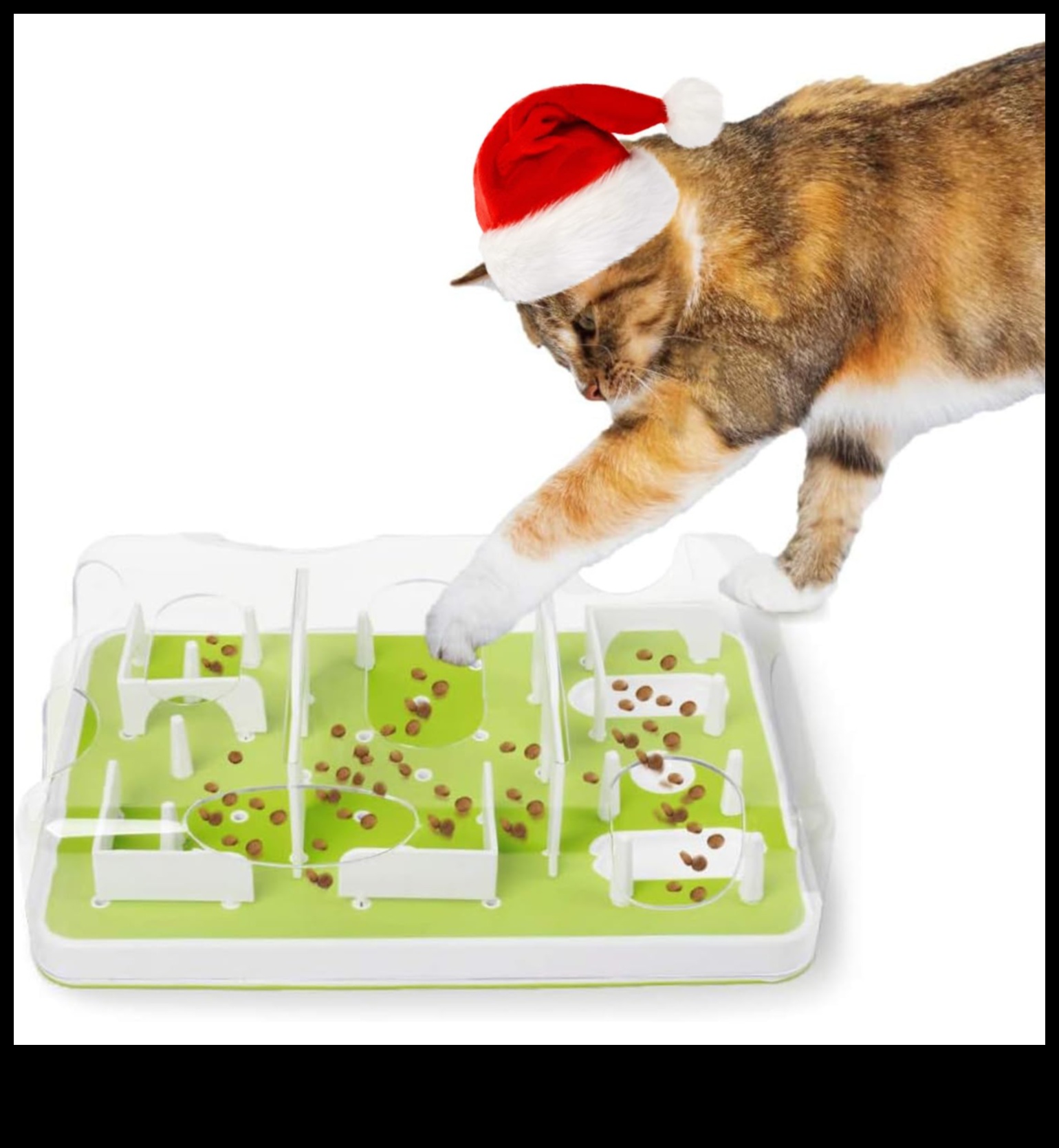 Paw-some Puzzles Mental Stimulation for Dogs and Cats 5 Paw-some Puzzles: Mental Stimulation for Dogs and Cats