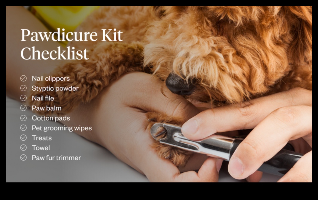 Pawdicures and Beyond: Paw Care for Dogs and Cats