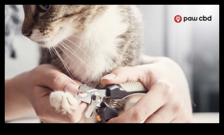 Paws and Claws Nail Care Tips for Dogs, Cats, and Small Animals 3 Paws and Claws: Nail Care Tips for Dogs, Cats, and Small Animals