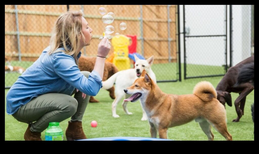 Paws and Play Fun Activities for Dogs and Their Owners 1