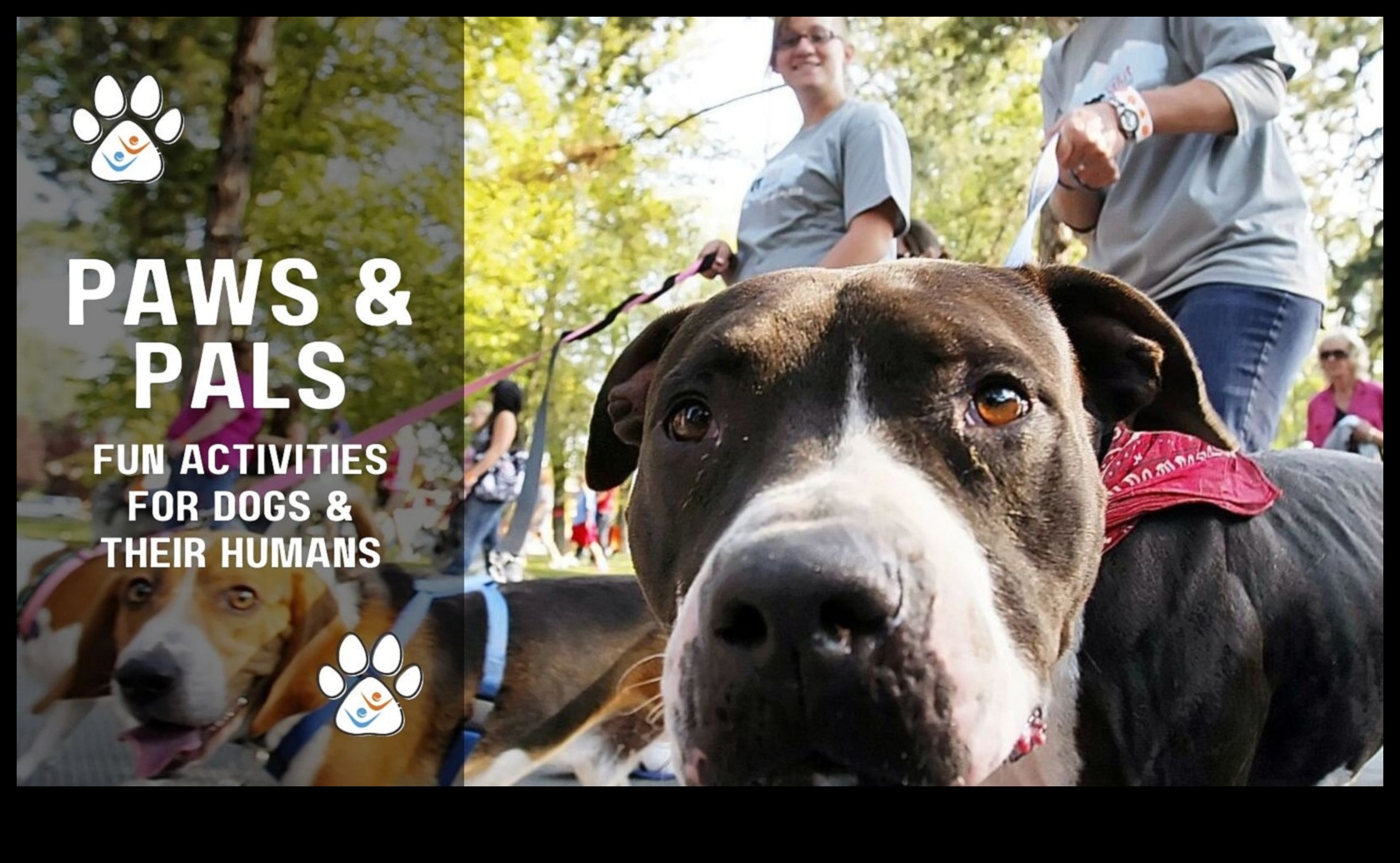 Paws and Play Fun Activities for Dogs and Their Owners 2 Paws and Play: Fun Activities for Dogs and Their Owners