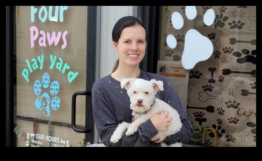 Paws and Play Fun Activities for Dogs and Their Owners 3 Paws and Play: Fun Activities for Dogs and Their Owners