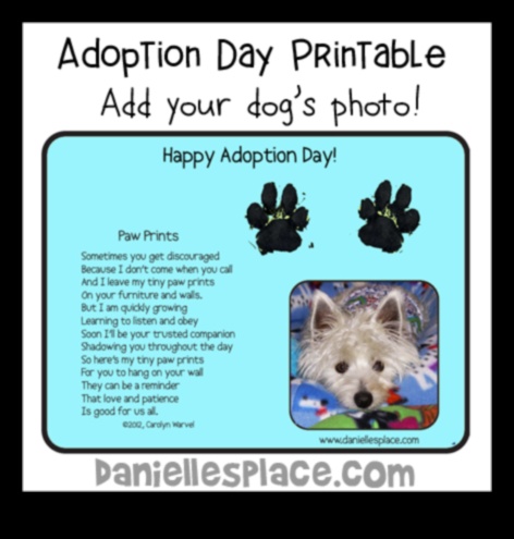 Paws and Play Fun Activities for Dogs and Their Owners 5 Paws and Play: Fun Activities for Dogs and Their Owners