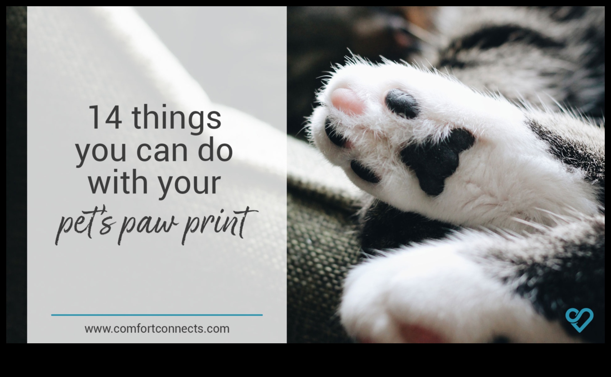 Paws and Print Creating Artistic Keepsakes with Your Cat 2 Paws and Print: Creating Artistic Keepsakes with Your Cat
