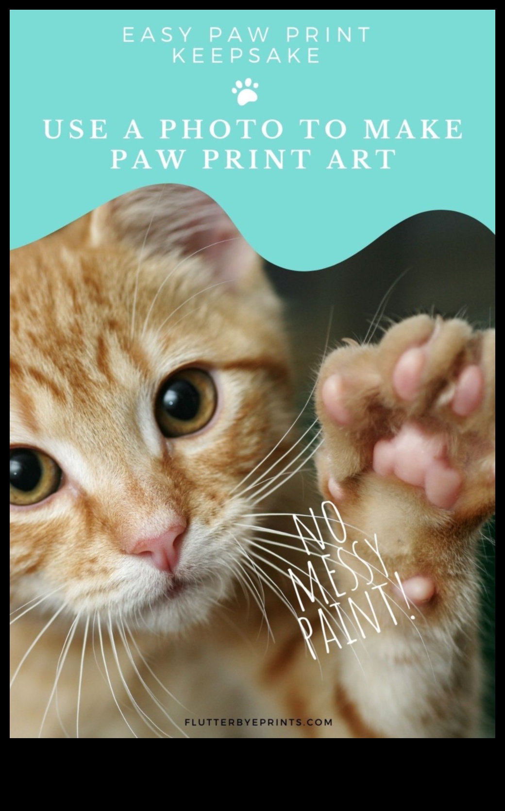 Paws and Print Creating Artistic Keepsakes with Your Cat 4 Paws and Print: Creating Artistic Keepsakes with Your Cat