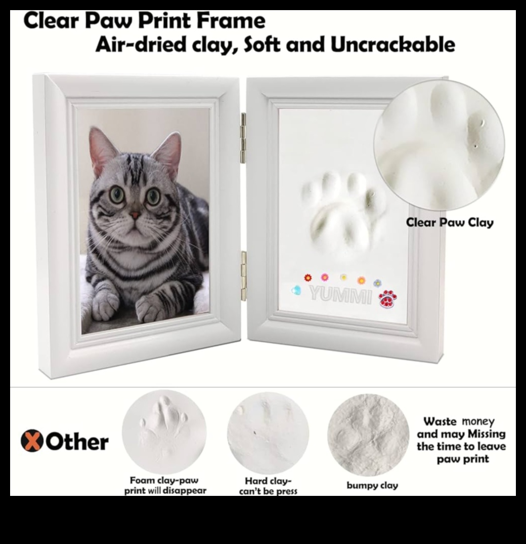 Paws and Print Creating Artistic Keepsakes with Your Cat 5 Paws and Print: Creating Artistic Keepsakes with Your Cat