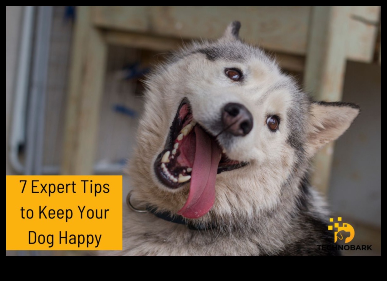 Pawsitively Playful Engaging Pet Activities for Happy Tails 2 Pawsitively Playful: Engaging Pet Activities for Happy Tails