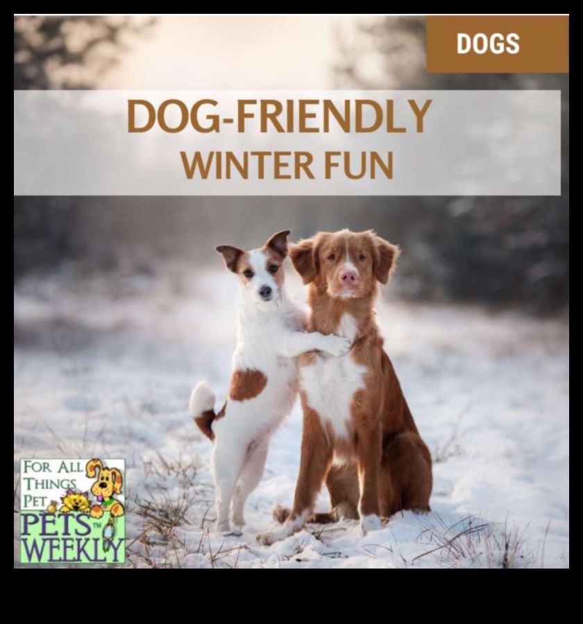 Pawsitively Playful Engaging Pet Activities for Happy Tails 5 Pawsitively Playful: Engaging Pet Activities for Happy Tails