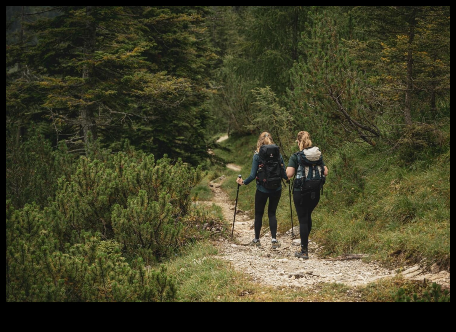 Peak Perspectives: A Guide to Majestic Outdoor Vistas