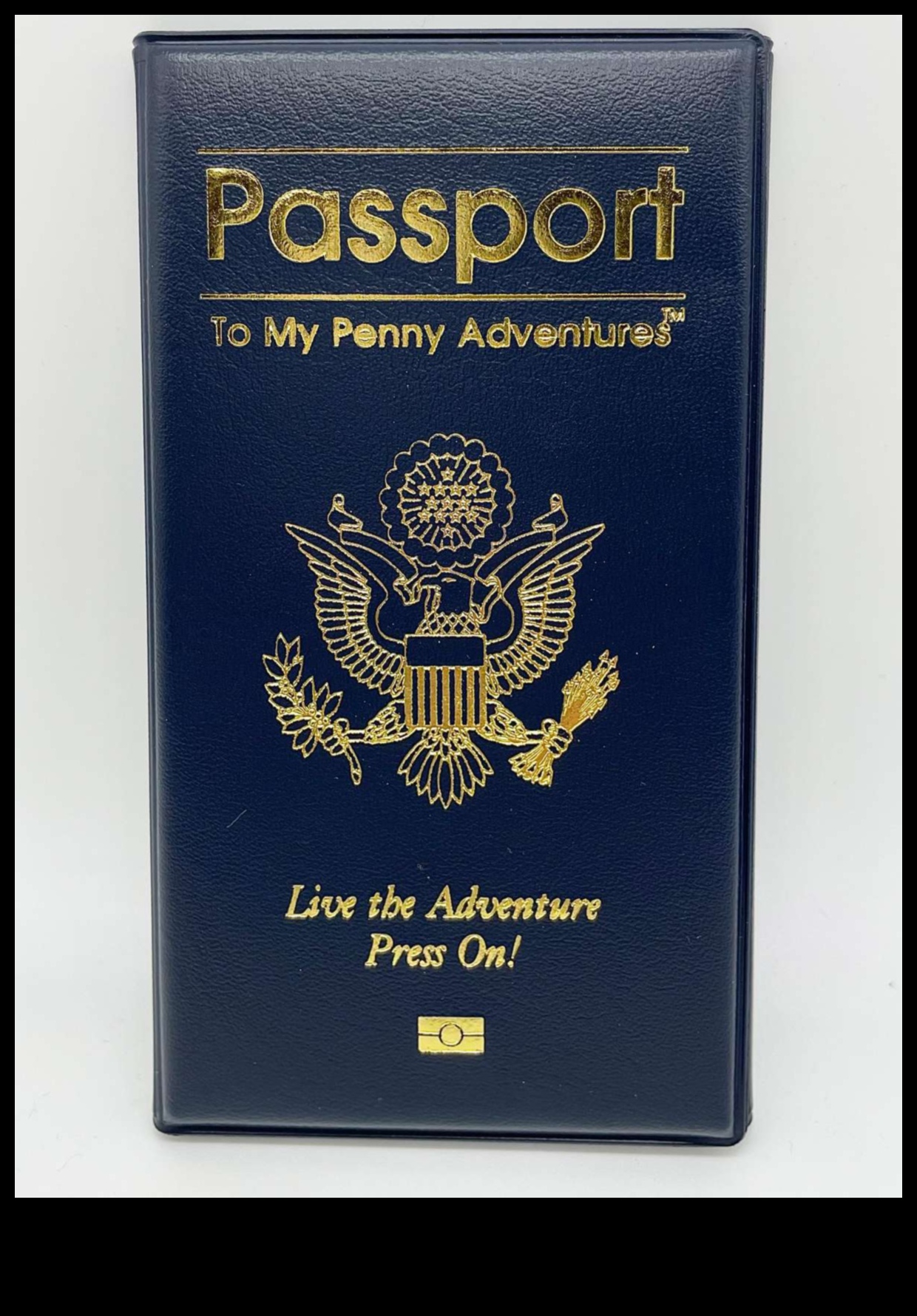Penny Passport: Your Entry to Budget Travel Wisdom