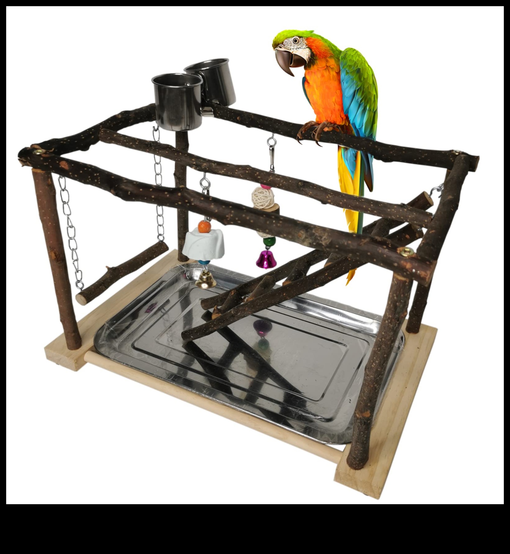 Perch and Play Activity Ideas for Your Pet Parrot 2 Perch and Play: Activity Ideas for Your Pet Parrot