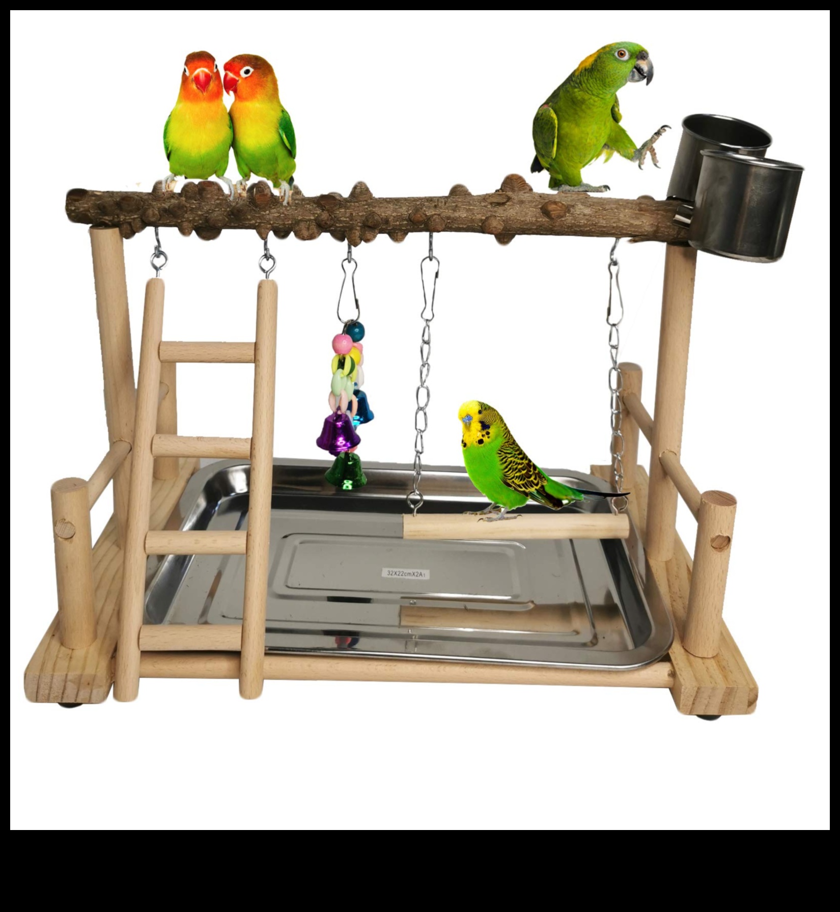 Perch and Play Activity Ideas for Your Pet Parrot 3 Perch and Play: Activity Ideas for Your Pet Parrot