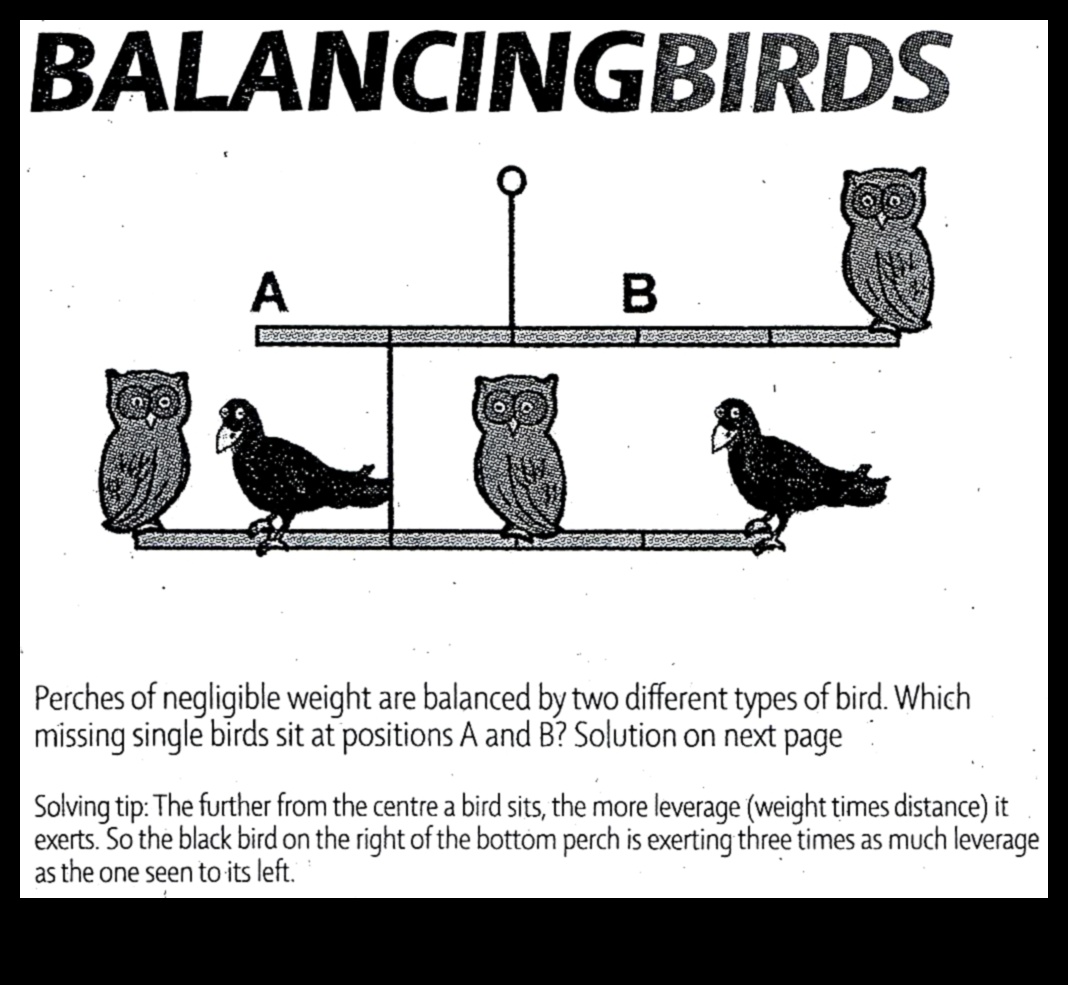 Perching Prowess How Birds Master the Art of Balancing 5 Perching Prowess: How Birds Master the Art of Balancing