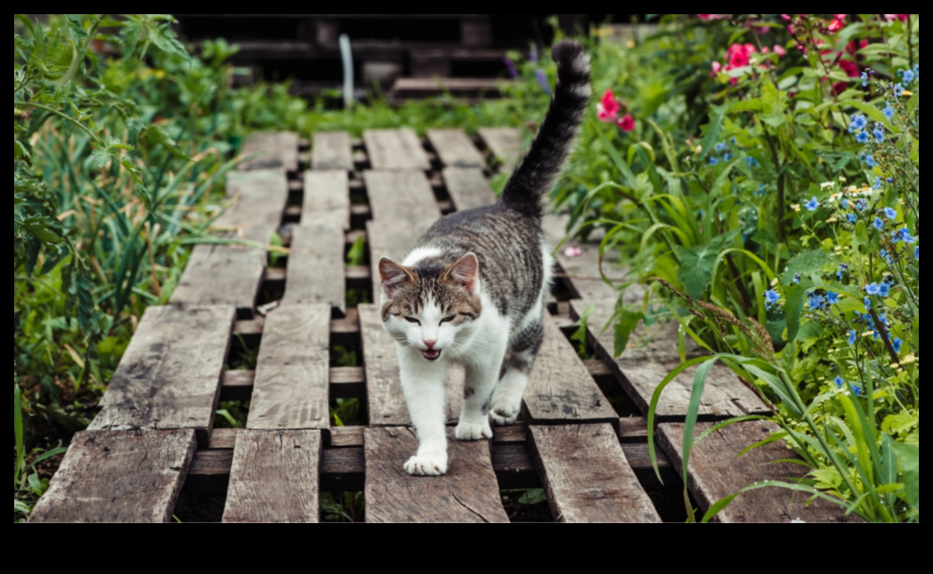 Pet-Friendly Gardening Creating Safe Green Spaces for Your Animals 1 Pet-Friendly Gardening: Creating Safe Green Spaces for Your Animals