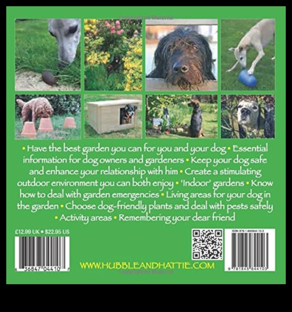 Pet-Friendly Gardening Creating Safe Green Spaces for Your Animals 2 Pet-Friendly Gardening: Creating Safe Green Spaces for Your Animals