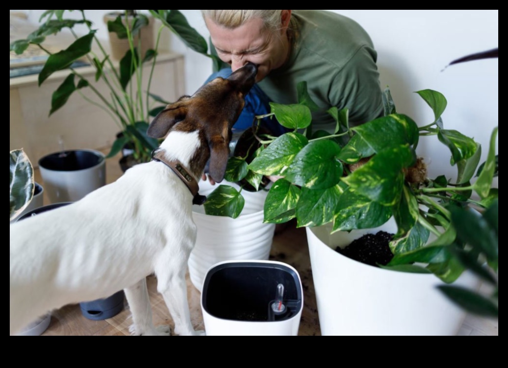 Pet-Friendly Gardening Creating Safe Green Spaces for Your Animals 4 Pet-Friendly Gardening: Creating Safe Green Spaces for Your Animals
