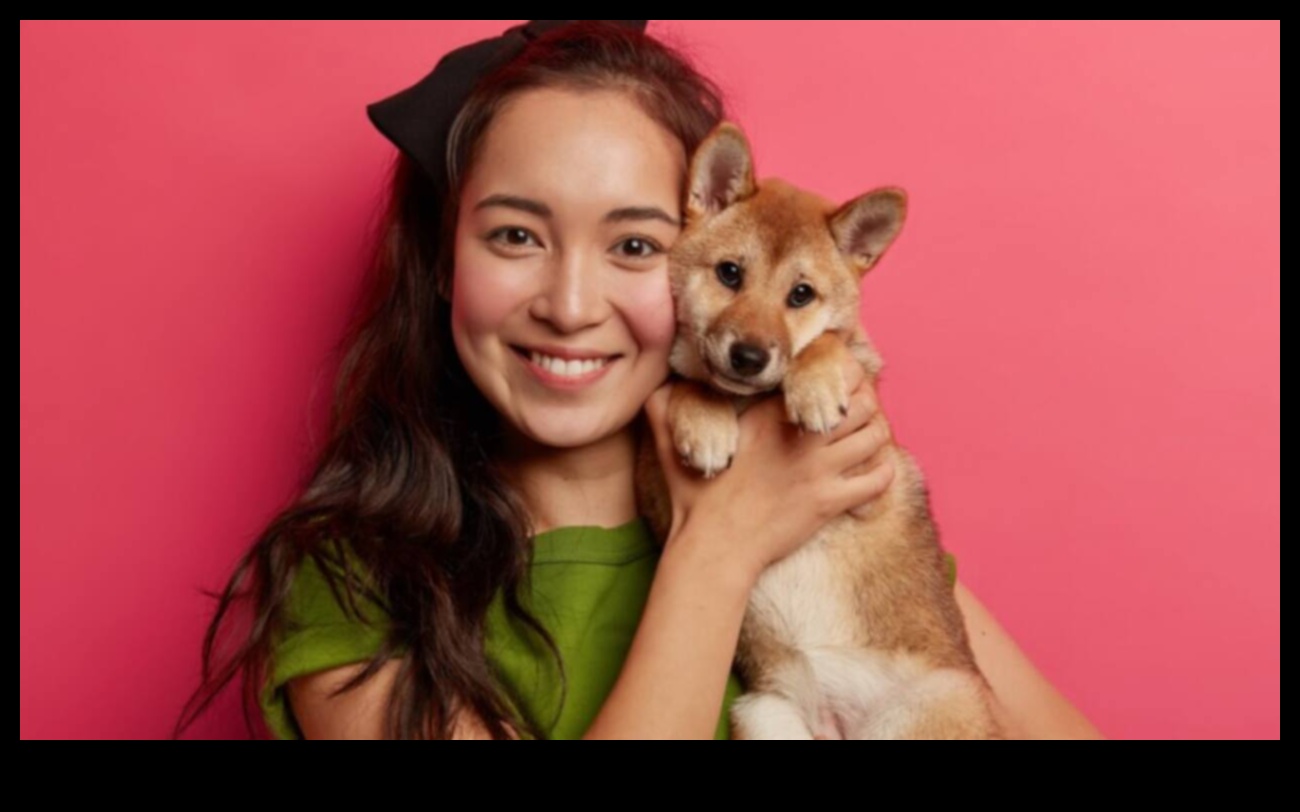 Pet Photography Tips Capturing the Best Moments of Your Furry Friends 1 Pet Photography Tips: Capturing the Best Moments of Your Furry Friends