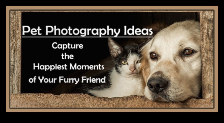 Pet Photography Tips Capturing the Best Moments of Your Furry Friends 2 Pet Photography Tips: Capturing the Best Moments of Your Furry Friends